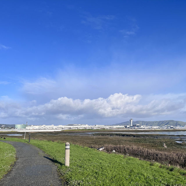 Something different to do in SFO Long Layover with Spectacular Aviation view & Bayfront Walk.