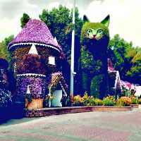 Springtime in Dubai's Miracle Garden: A Floral Wonderland