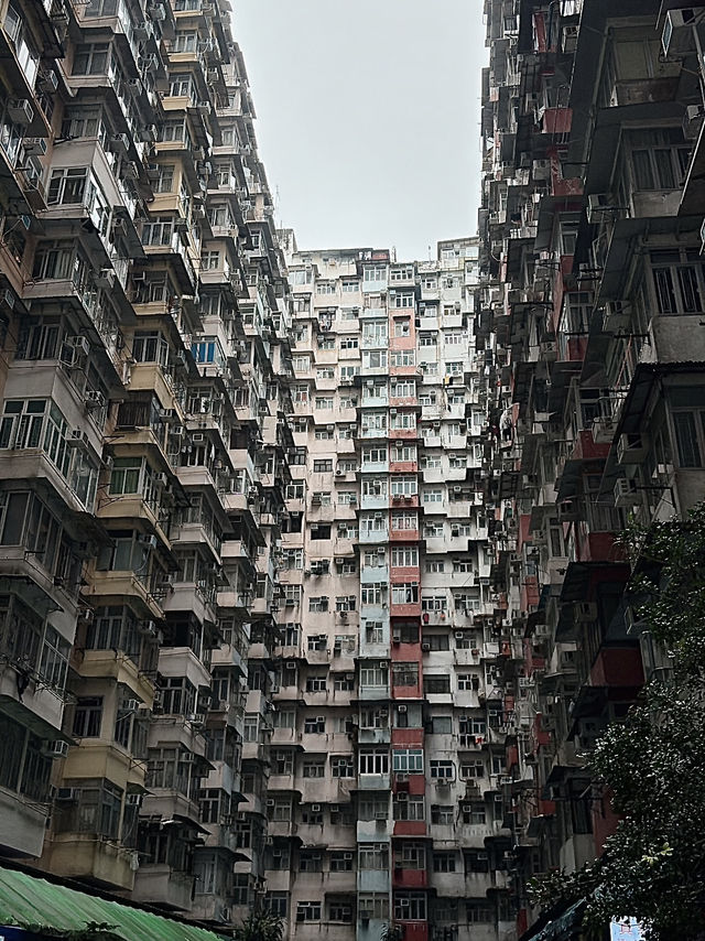 Jordan to Choi Hung Estate 🌈