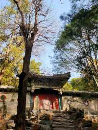 春遊：頤和園的春意