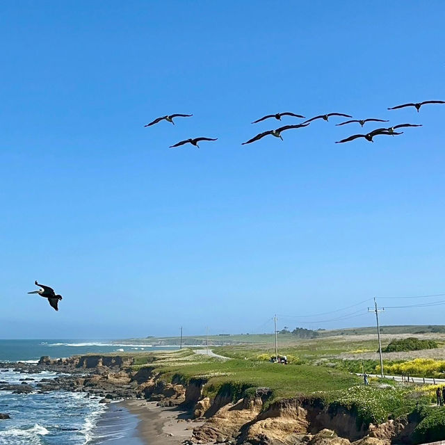 Where land ends, stories begin—Pigeon Point Lighthouse awaits.