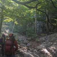 Scenic Trails and Cliffside Views – Paklenica National Park