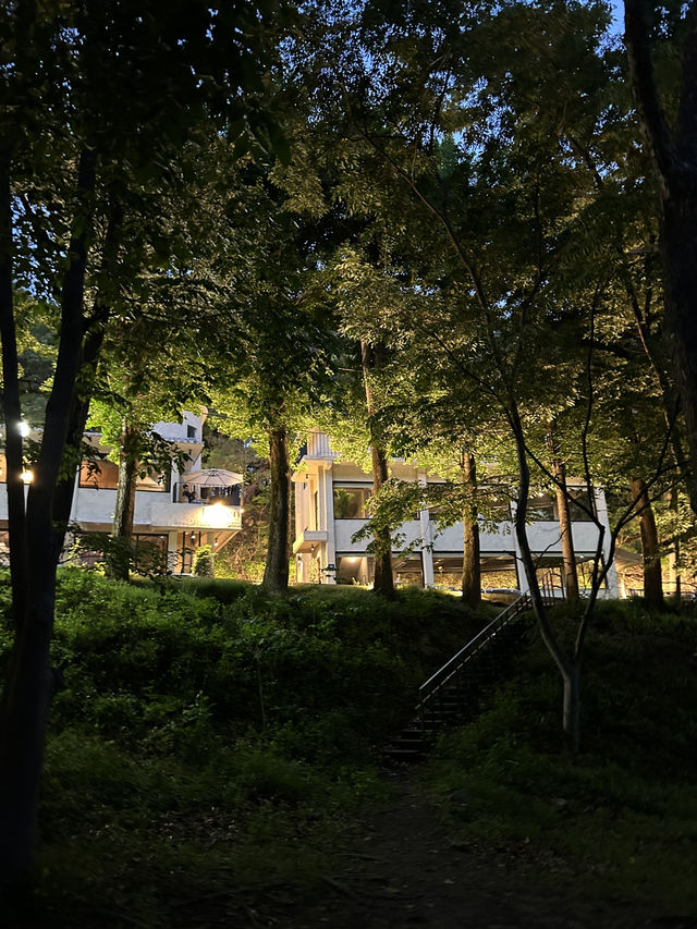 숲속의 고즈넉한 카페, 베르겐 