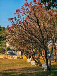 พิพิธภัณฑสถานแห่งชาติ ราชบุรี