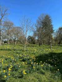 Royal Botanic Gardens – London’s Autumn Masterpiece