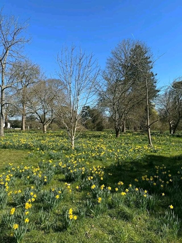 Royal Botanic Gardens – London’s Autumn Masterpiece
