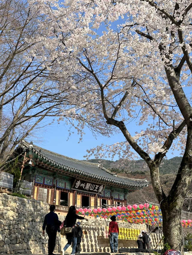 開心是讓你來了就很開心喔