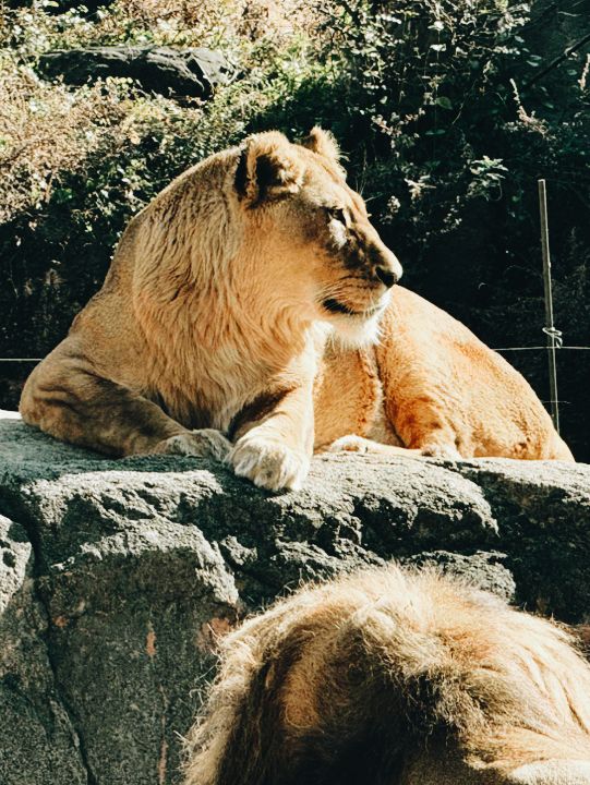 大阪交通攻略｜天王寺動物園