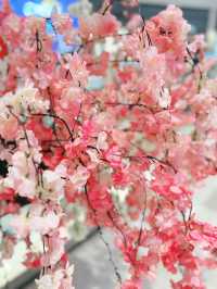 Sakura Symphony Along Shukugawa