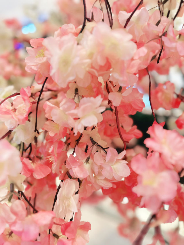 Petals and Prayers at Mitake Temple