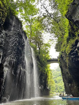 【宮崎縣】高千穗峽

💡交通方式：自駕

💡景點：高千穗峽、天安須賀原、鍋瀧瀑布

＼建議提前預訂高千穗峽遊船／

→預訂於您所需日期前兩週的上午9點開放。建議在預訂開放後立即預訂。

當日現場購買數量有限，需等待約5小時。

💡餐飲：今金食堂

＼建議晚上前往，等待時間更短／

據說午餐高峰時段需要等待數小時。我們從高千穗峽返回的途中，大約下午3點左右去了今金食堂，只等了大約30分鐘。我們在附近的糖果店和雜貨店逛了逛，很快就輪到我們了。

