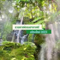 รวมคาเฟ่บรรยากาศดี ที่เชียงใหม่ 2025 ✨