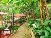 คาเฟ่เล็กกลางหุบเขา เชียงใหม่