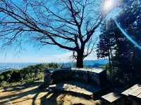 Hachiōji Castle Ruins – A Historical Hideaway in the Mountains of Tokyo