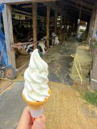 美味しすぎる🤍濃厚な絶品ソフトクリームが食べられる牧場🐄🍦【千葉県】
