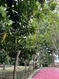 Evening walk at Taman Seribu Bunga Ayer Keroh
