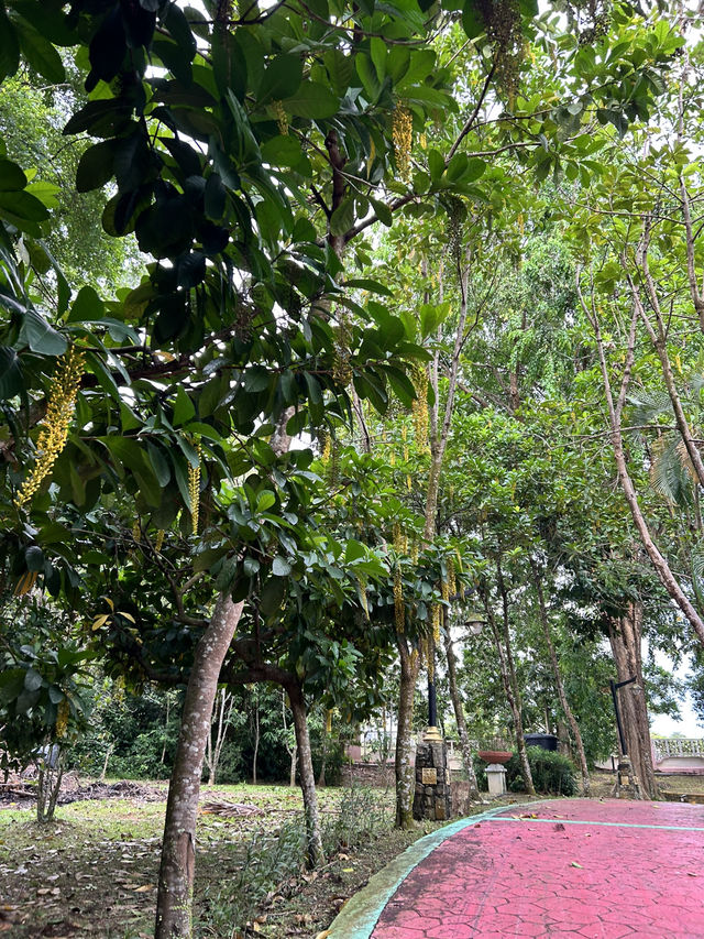 Evening walk at Taman Seribu Bunga Ayer Keroh