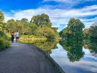 The Rainforest at Singapore Botanic Gardens – A Walk Through Ancient Nature