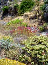 Channel Islands National Park