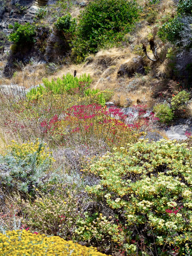 Channel Islands National Park