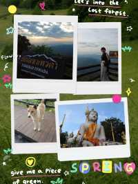 ⛰️🌫️ พาชมทะเลหมอก “ยอดเขาเทวดา” สุพรรณบุรี 