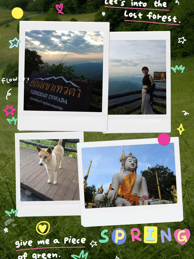 ⛰️🌫️ พาชมทะเลหมอก “ยอดเขาเทวดา” สุพรรณบุรี 