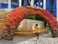 เที่ยวสวนดอกไม้ติดแอร์กันที่ระยอง