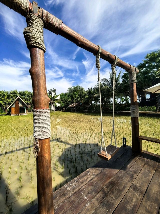ตากฟ้าคาเฟ่ - บ้านสวนณัฐธีร์