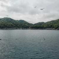 Amanohashidate – Japan’s Scenic “Bridge to Heaven"