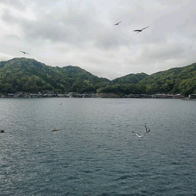 Amanohashidate – Japan’s Scenic “Bridge to Heaven"