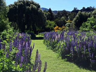 Los Alerces National Park – A Patagonian Paradise
