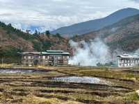 Punakha’s Fertility Temple – Where Culture Meets the Countryside