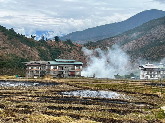Punakha’s Fertility Temple – Where Culture Meets the Countryside