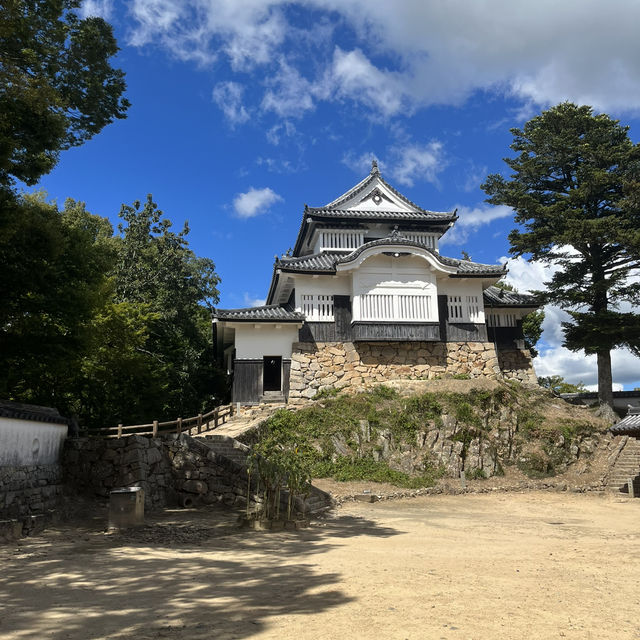 日本三大山城　【備中松山城】🏯　岡山