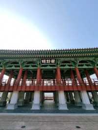 울산 하루 코스: 오전엔 숲, 오후엔 바다, 밤엔 관람차