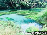 📍紐西蘭北島。Blue Spring ｜無敵清澈的泉水把煩惱沖淡