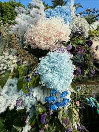 VanDusen Botanical Garden – A Tranquil Oasis in the Heart of Vancouver