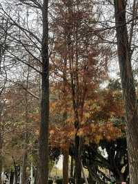 周末親子遊樂好去處——珠海海濱公園