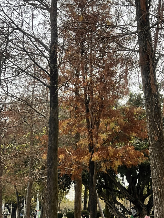 周末親子遊樂好去處——珠海海濱公園