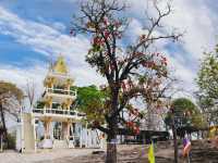 วัดศิลาอาสน์ 