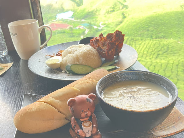 馬來西亞🇲🇾一盞茶一段風景 金馬倫茶園Cameron Valley Tea的晨時風光
