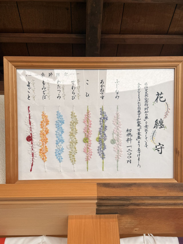 岡山｜在紫藤季再訪阿智神社 賞阿智大藤與抽彩色籤