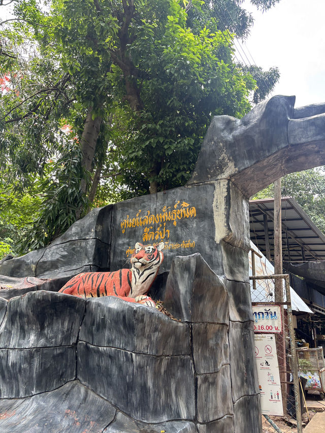 🌳✨สวนสัตว์เปิดเขาประทับช้าง🐪📌