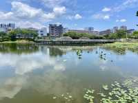 深圳萬豐湖濕地公園✨🌴城市中的自然綠洲🏞️