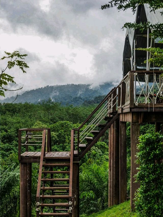 khaosok boutique camps สุราษฎร์ธานี