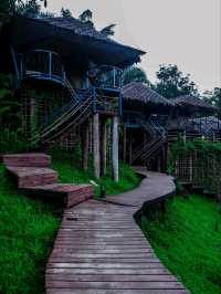 khaosok boutique camps สุราษฎร์ธานี