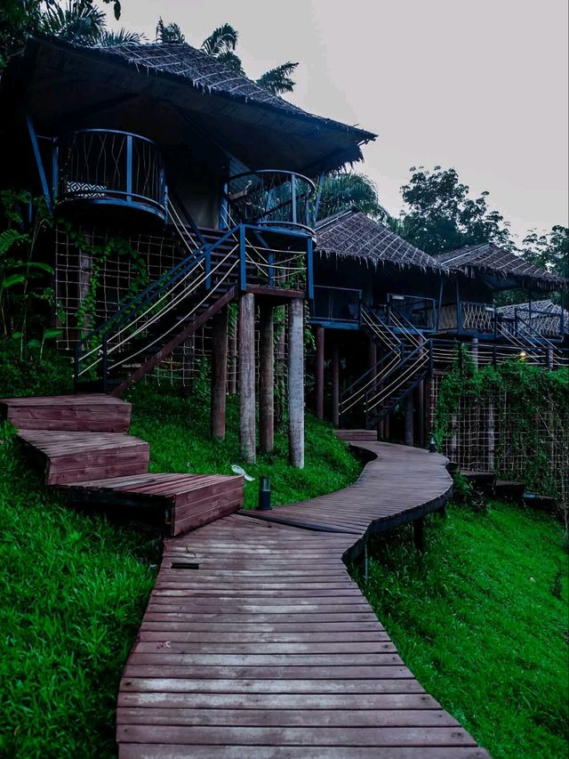 khaosok boutique camps สุราษฎร์ธานี