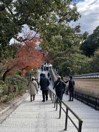 🏯【京都 北山】水面にきらめく、静寂の金色。「金閣寺」で心をととのえる旅🌿✨ 