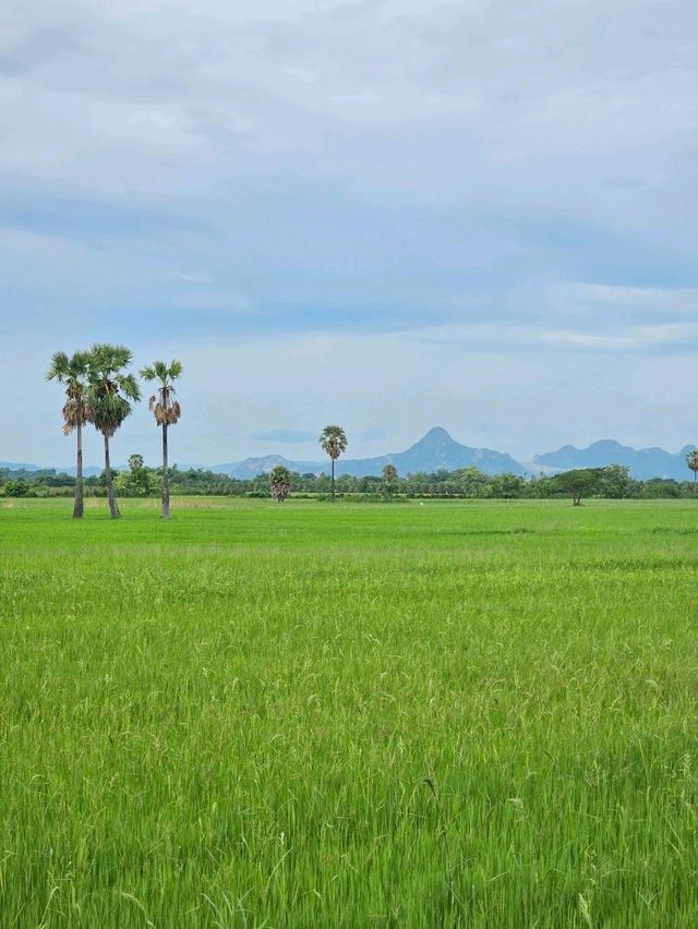 บ้านพลอย คาเฟ่ : ราชบุรี