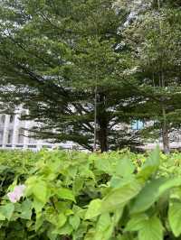 “A Glimpse of British Malaya in the Heart of Ipoh”